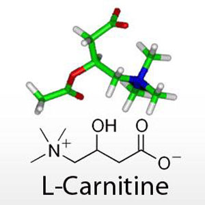 ال کارنیتین